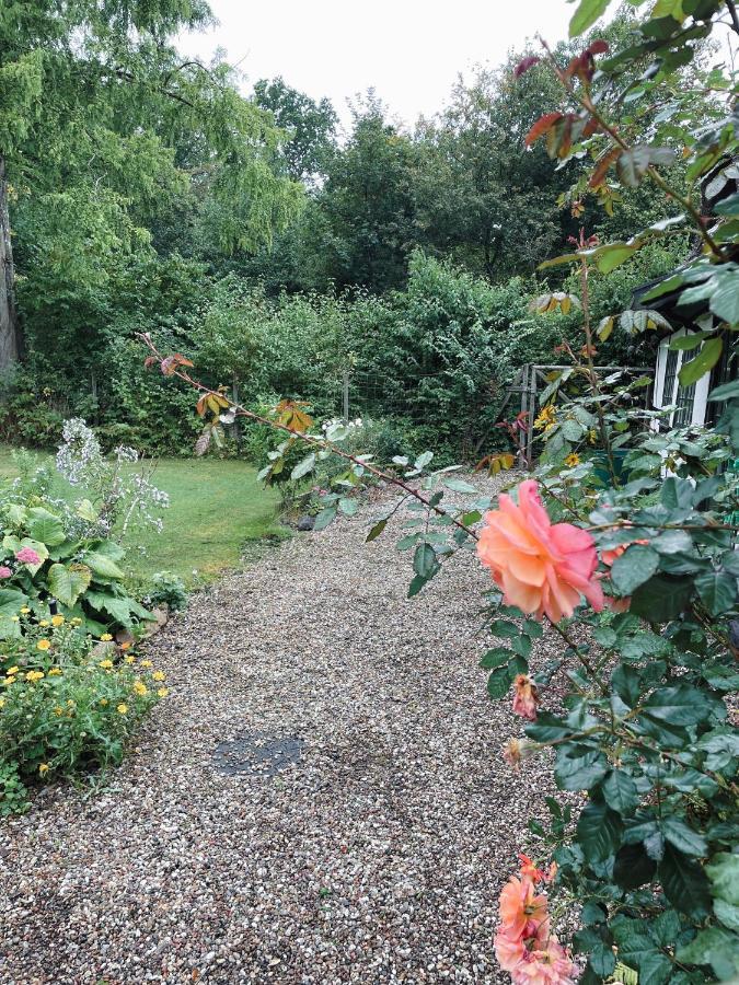 The Foresters House- Idyllic Tranquility- Non Smokers Only Store Heddinge Exterior foto
